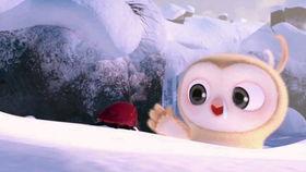 吃瓜搞笑知识视频大全,笑料横生！吃瓜搞笑知识视频大盘点