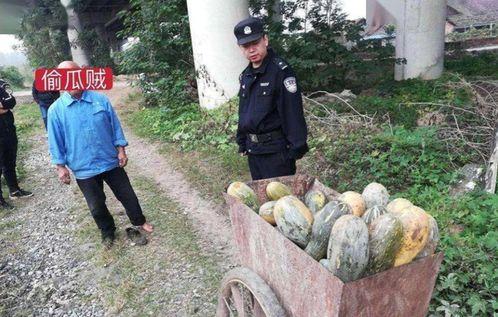 蔚县吃瓜最新事件视频曝光,视频曝光揭示惊人真相